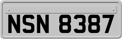 NSN8387