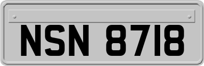 NSN8718