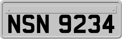 NSN9234