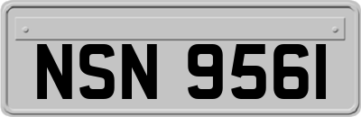 NSN9561