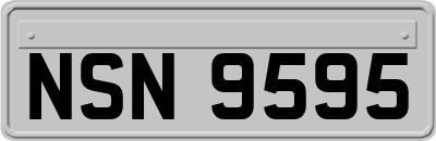 NSN9595