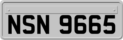 NSN9665