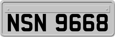 NSN9668