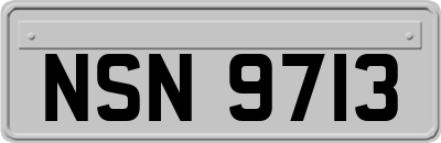 NSN9713