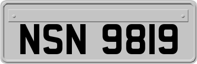 NSN9819