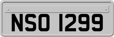 NSO1299
