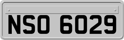 NSO6029