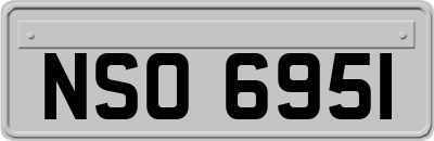 NSO6951