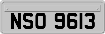 NSO9613