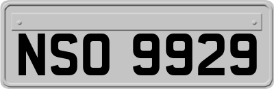 NSO9929