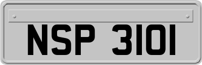NSP3101