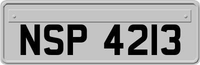 NSP4213