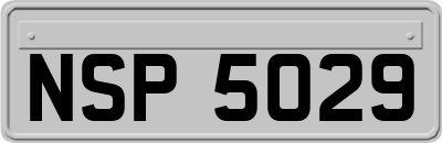 NSP5029