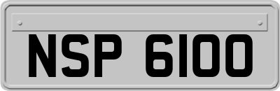 NSP6100