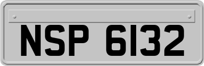 NSP6132