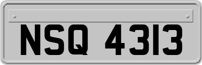 NSQ4313