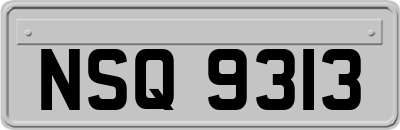 NSQ9313