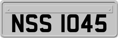 NSS1045