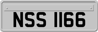 NSS1166