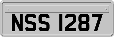 NSS1287