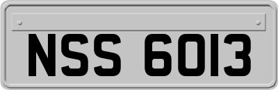 NSS6013