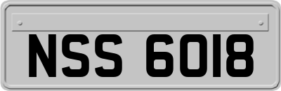 NSS6018