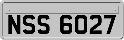 NSS6027