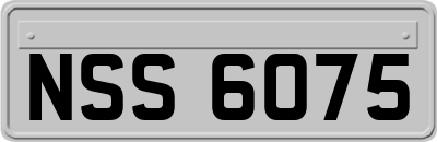 NSS6075