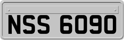 NSS6090