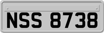 NSS8738