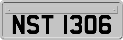 NST1306