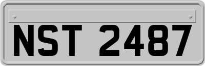 NST2487