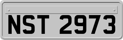 NST2973