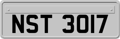 NST3017