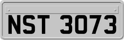 NST3073