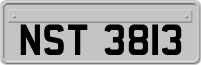 NST3813
