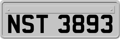 NST3893