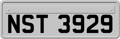 NST3929