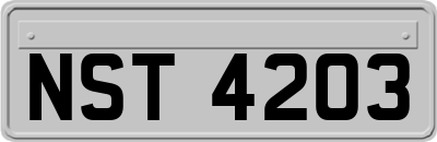 NST4203