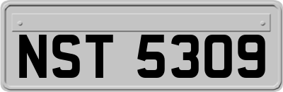 NST5309