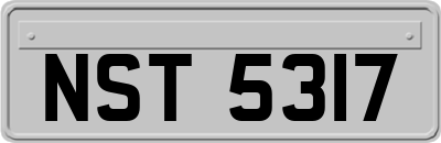 NST5317