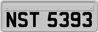 NST5393
