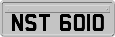 NST6010