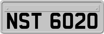 NST6020