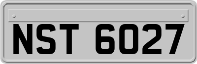 NST6027