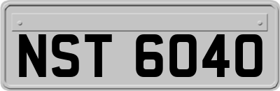 NST6040