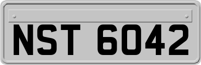 NST6042