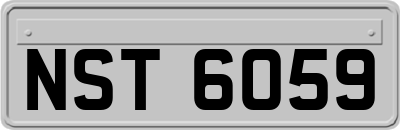 NST6059