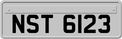 NST6123