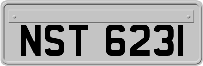 NST6231